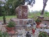 Na cmentarzu ewangelickim w Chojnie