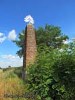 Obelisk „oko opatrzności” na drodze z Anielewa do Kruszyn Szl.