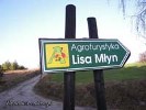 Do Lisa Młyna