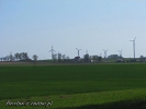 Widok na wiatraki w Cielętach