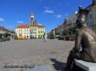 Duży Rynek z widokiem na ratusz i rzeźbę Powstaniec Listopadowy Janusza Bronclika