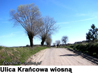 Ulica Krańcowa wiosną