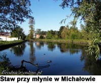 Staw przy młynie w Michałowie