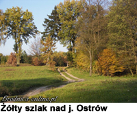 Żółty szlak nad jeziorem Ostrów