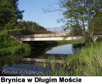 Brynica w Długim Moście