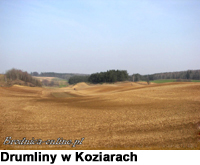 Drumliny w Koziarach