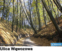 Ulica Wąwozowa