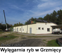 Wylęgarnia ryb w Grzmięcy